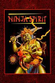 Ninja Spirit